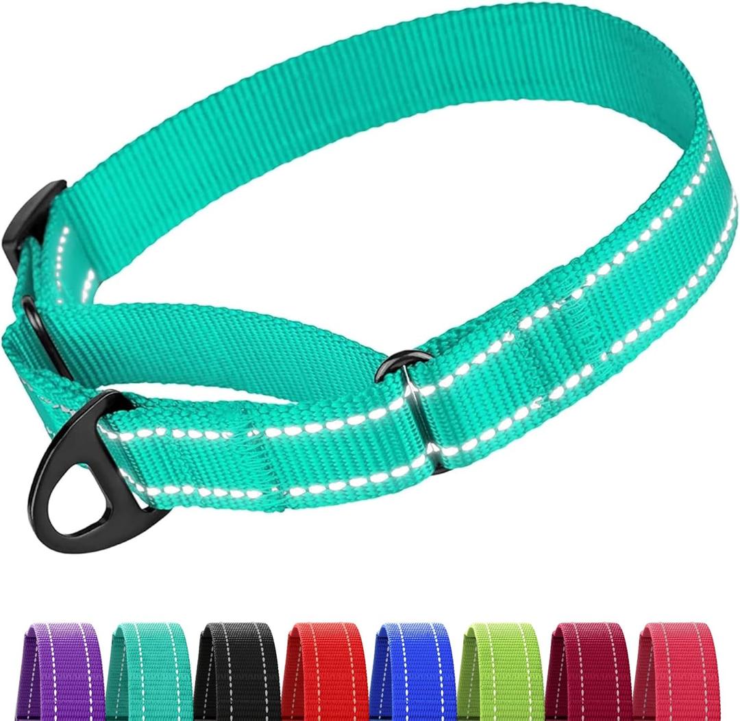 CollarDirect Martingale Dog Collar Heavy Duty Nylon Slip Collars for Dogs [Nylon, Reflective, Mint Green, M, 13"-18"]