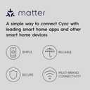 2 x GE Cync Smart LED Light Bulbs, Color Changing Decorative Light Bulbs, Indoor WiFi Lights, Matter Compatible, Compatible with Alexa and Google Home, Candelabra Base (3 Pack)