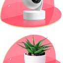 ROYALITA Small Acrylic Shelves Room Decor Floating Shelves (2-Pack, 8-inch Diameter) - Wall Mounted Display Stand for Plants, Toys, Makeup, and More - Ideal for Home and Office, Pink