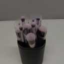 BS-MALL Makeup Brushes Premium Synthetic Foundation Powder Concealers Eye Shadows 14 Pcs Purple for Makeup Beginner or Professional with Travel Case