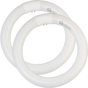 8 inch FC8T9/CW 22W Cool White Circular Fluorescent Light Bulb, Round T9 22 Watt Circline Fluorescent Lamp Bulbs 4100K 1350 Lumens, G10q 4 Pin Base, 2 Pack