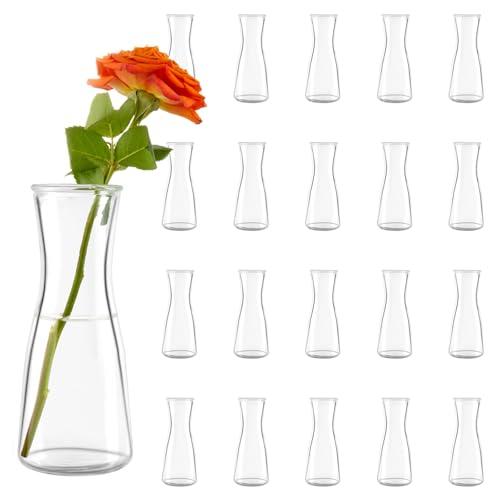 Small Clear Glass Bud Vases 20Pcs Mini Vases for Flowers Tulip Eucalyptus Plants, Glass Flower Vases for Centerpieces Dining Table, Clear Bud Vases Bulk for Wedding Party Bridal Shower Home Decor