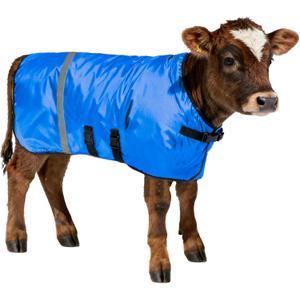 Calf Coat - Blue Calf Blanket for Winter, 1-Pack | Winter Blanket for Calves, Goats, Dogs, Foal, Donkey | Water Resistant & Adjustable Livestock Warmer