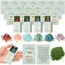 DoubleFill 24 Set Office Positive Gifts for Coworkers Employee Appreciation Gifts Bulk Emotional Pocket Hug Support Appreciation Gift for Staff Teacher Team (Natural Crystal)