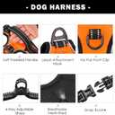 PHOEPET No Pull Dog Harnesses for Small Dogs Reflective Adjustable Front Clip Vest with Handle 2 Metal Rings 3 Buckles [Easy to Put on & Take Off] (S, Orange)