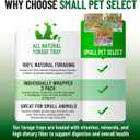 Small Pet Select Forage Tray Bundle, 3 Pack of Foraging Trays for Rabbit, Guinea Pig, Hamster or Bunny - Natural Treats, Dandelion, Flower, Herb Mix 2.5oz Each