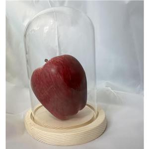 Glass Cloche Display Dome with Wooden Base, Tabletop Bell Jar Centerpiece (4X6 inch 1)