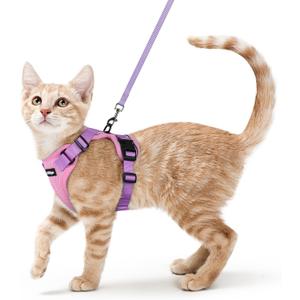 rabbitgoo Cat Harness and Leash for Walking, Escape Proof Soft Adjustable Vest Harnesses for Cats, Easy Control Breathable Reflective Strips Jacket, Pink & Purple, XS