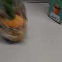 Baby Toys Interactive, Dancing Talking Cactus Toy Volume Adjustable, Mimicking Singing Repeating, Easter Gifts / Easter Basket Stuffers for Baby Toddler, Toddler Infant Baby Toys Gifts for Boys Girls