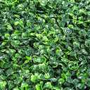 Sunnyglade 12 Pieces 20"x 20" Artificial Boxwood Panels Topiary Hedge Plant