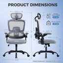Office Chair with Adjustable Lumbar Support, Ergonomic Desk Chairs, Gray, Large