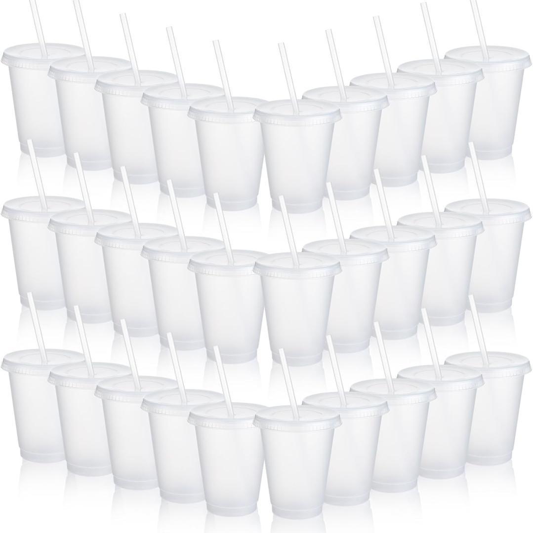 Sieral 30 Pack Cups with Lids and Straws Kids Tumbler with Straw Reusable Water Bottle Iced Coffee Travel Mug Adults Plastic Cups for Parties 16 oz (Clear Colors)