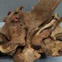 majoywoo Natural Large Driftwood for Aquarium Decor Reptile Decor 13-17" Long, Over 1.3 lbs