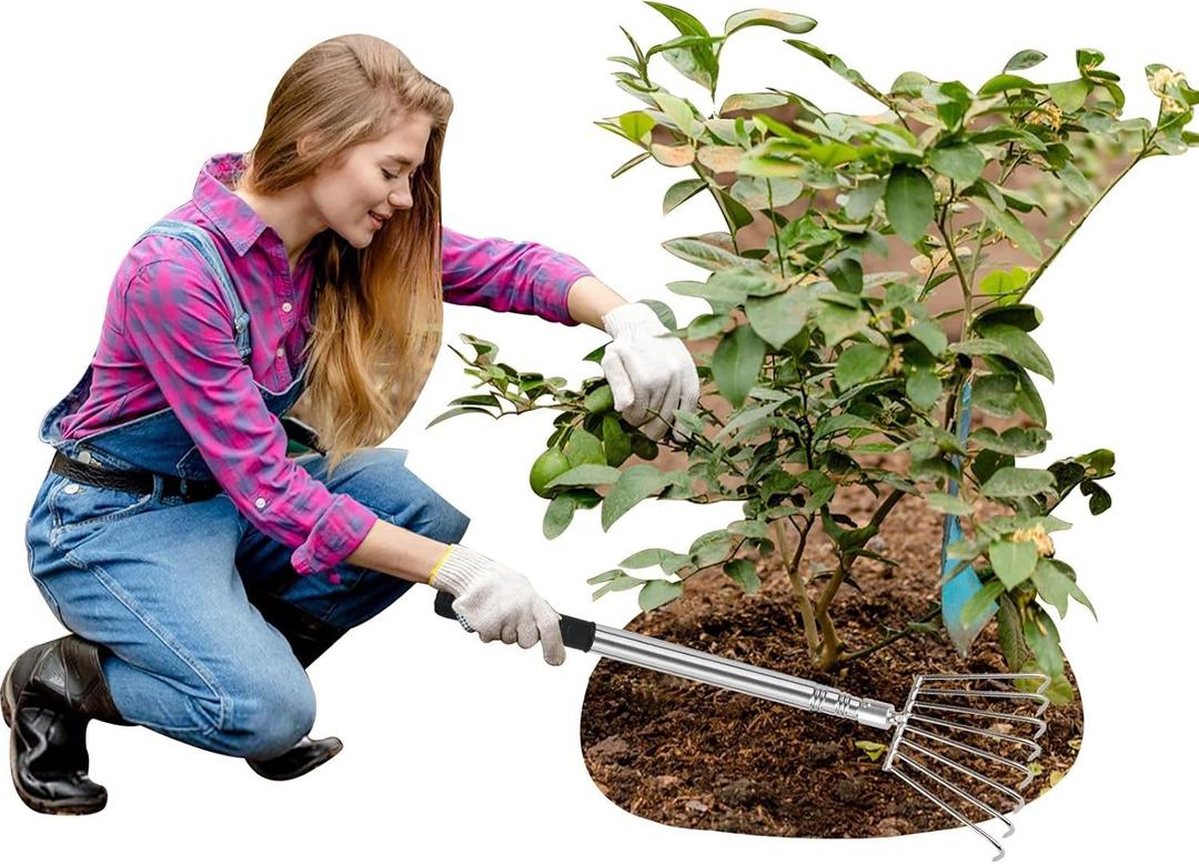 Landscape Rakes for Lawns Leaf Leaves, Small Hand Cultivator, Clam Tool for Cleaning Debris, Weeds, Grass, Pine Needle Remove in Yard, Flower Beds, Herb Rock Garden Care - Stainless Steel