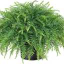 21" Artificial Ferns Plants Topiary for Front Porch Decoration,Fake Boston Fern Potted Plants Faux Greenery Bush UV Resistant for Outdoor Indoor Door Garden Farmhouse Home Decor (Green)