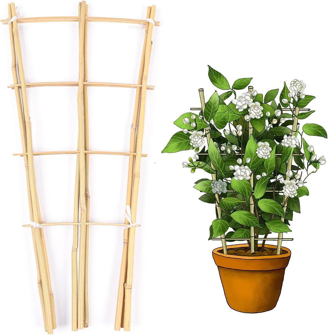 Bamboo Trellis, 24in Fan-Shaped Trellis for Potted Plants 3 Pack | Natural Small Plant Trellis for Climbing Plants Indoor Outdoor Support Like Monstera, Ivy, Hoya, Rose