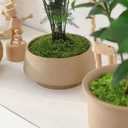 ZZBEARRQI 5.3 oz Fake Green Moss for Potted Plants, Faux Moss for Crafts, Artificial Green Moss for Plants Indoor, Moss Decor for Table Centerpieces, Art Landscape, Gardening, DIY Projects Dark Green