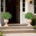 Set of 2 Artificial Boxwood Topiary Trees for Front Door - Faux Realistic Greenery Potted Plants, Fake Outdoor UV-Resistant Bushes with Pots for Porch,Farmhouse,Home,Garden Decor