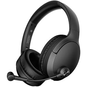 Headset Wired with Mic