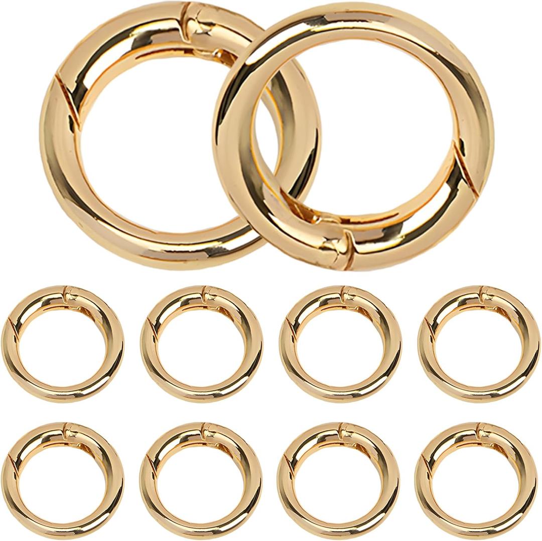 10 Pcs Key Ring Carabiner, Spring O Ring Small Round Clip Metal Carabiner, Purse Holder Clip Wallet Ring Heavy Duty Carabiner Clips for Bag Craft (0.80 inch)
