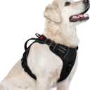 rabbitgoo Dog Harness for Large Dogs, No Pull Pet Harness with Soft Padded Handle, Adjustable Reflective Vest with 3 Buckles, Easy Walking Harness with 2 Leash Clips, Black, L