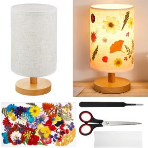 Hortsun Pressed Flower Lamp Vintage Table Small Lamp Cottage core Decor Boho Night Light Decorative Rustic Night Light for Bedroom, Living Room or Office, Valentine Gift for Women(DIY Style)