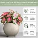 Kante Accent Round Sphere Weathered Concrete Planter 19.3" Dia, Outdoor, 19.3"w x 16.5"h