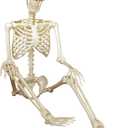 5.4Ft Life Size Halloween Skeleton Decoration - Posable Plastic Realistic Human Full Size With Movable Joints for Indoor Outdoor Decor, Haunt House