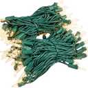 Novelty Lights RetroGlo® LED Mini Lights, 100 Clear Bulbs on Green Wire, 34ft with 4" Spacing, Incandescent Look with Modern Efficiency, 2700K Warm White Core, Interchangeable Bulbs, 2 Pieces