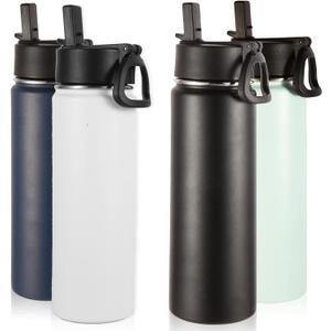 Volhoply Insulated Water Bottles with Straw Bulk 4 Pack, 22 oz Stainless Steel Sports Bottle with Handle Lid,Double Walled Vacuum Metal Water Cups with Wide Mouth, Reusable Waterbottle(Mix,4 Set)