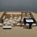 Nespresso Vertuo Plus Coffee and Espresso Maker by Breville, Ink Black with Aeroccino Milk Frother