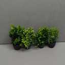 4 Packs Fake Plants Small Potted Plants, 7" Mini Artificial Faux Plants, Eucaplytus Rosemary Plants for Home Office Desk Room Decor