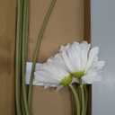 White Gerbera Daisy Artificial Flowers 5PCS Real Touch Latex Silk Daisies Flowers Artificial, 26.7" Long Stem Fake Flowers with Stems for Wedding Bouquets, Home Dcor, or Daisy Centerpieces