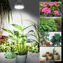 Grow Light Bulbs, A15 7W Plant Light Bulb for Indoor Growing, High PPFD, Full Spectrum, 60W Equivalent, E26 Base, LED Grow Lights for Indoor Plants, Seed Starting 3pack