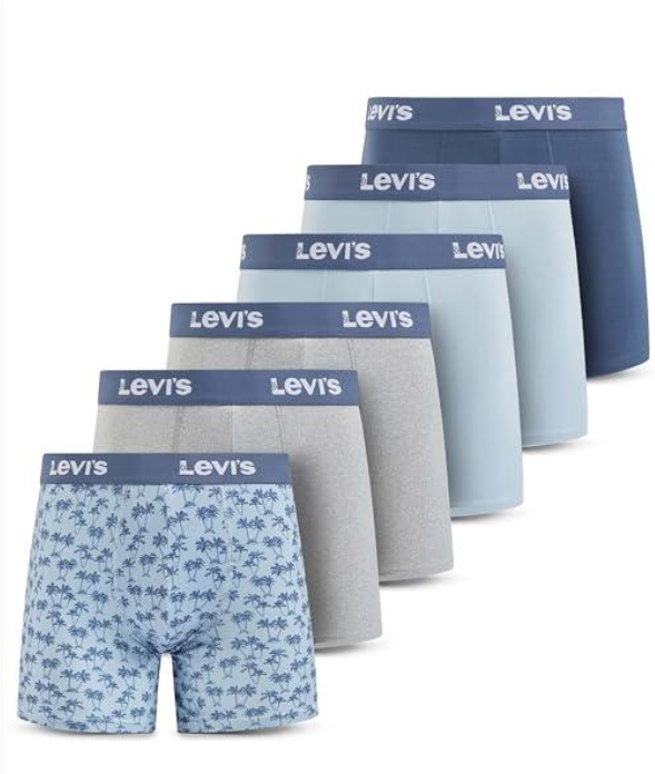 Levis Mens Underwear 6 Pack Mens Boxer Briefs For Men Soft Stretch Microfiber - Tamaño Large - Color Blue Floral, Grey ( 2), Blue , Light Blue ( 2), Size 2XL