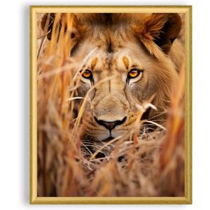 Art Shoppe Framed Print Wall Art, Vintage Wall Dcor for Living Room, Bedroom, Office, High-Resolution Image on Premium Art Paper, 3/4" Frame with Plexiglass Front, Ready to Hang, 17"x21" (Lion in Grass)