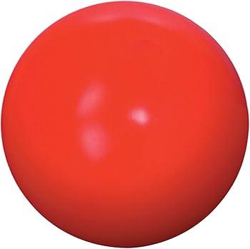 Virtually Indestructible Best Ball for Dogs, 10-inch (Large (10 in))