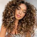 Highlight Skunk Strip Lace Front Wig, 16Inch Pre Plucked Glueless HD Lace Big Curly Wig for Black Women, Framing Highlights Brown Mix Blonde Color