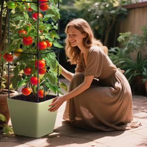 Tomato Planter Box with Trellis, Self Watering Rolling Raised Garden Bed with Water Level Monitor for Climbing Vegetables Plants Cage, Garden Planters Plant Pots for Plants Flowers Decor (Gold)