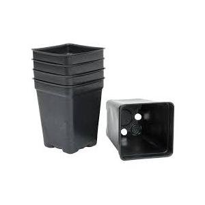 Pots For Seedlings