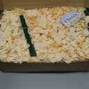 100 Pcs Faux Champagne Hydrangea Artificial Flowers Bulk, Fake Silk Hydrangea Flowers Heads with Stems for Wedding Decorations Garden Party Baby Shower Porch Home Decor Table Centerpieces