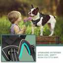 BUMBIN Tactical Dog Harness for Small Dogs No Pull, Famous TIK Tok No Pull Puppy Harness, Fit Smart Reflective Pet Walking Harness for Training, Adjustable Dog Vest Harness with Handle Black S(Neck:13-16", Chest:15-23")