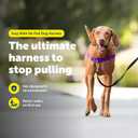 PetSafe Easy Walk No-Pull Dog Harness - Ultimate Harness to Help Stop Pulling - Pull-Free Walks - Take Control & Teach Better Leash Manners - Patented Martingale Loop Design - Deep Purple, Medium