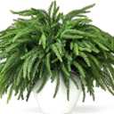 16 Pcs Norfolk Pine Stems, 19" Long Artificial Norfolk Pine Branches, Real Touch Greenery Stems for Vases, DIY Garland, Indoor Home Decorations