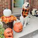 5 x Thanksgiving Dog Bandana, Pumpkin Turkey Dog Thanksgiving Scarf Buffalo Plaid Printing Adjustable Bandana for Small Medium Large Dogs