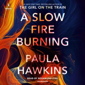A Slow Fire Burning: A Novel