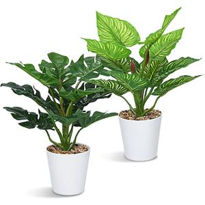 2 PCS Fake Potted Plant 12" Small Artificial Plants Indoor, Faux Greenery Monstera Dieffenbachia Plant in Pot, Artificial Tropical Plants for Home Office Table Shelf Window Centerpieces Decor