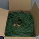 12ft 2Pcs*6ft Artificial Norfolk Pine Garland,Christmas Garland Greenery Garland for Mantle, Fireplace, Table, Wall, Window, Bedroom,Fence, Indoor Outdoor Holiday Winter Hanging Christmas Decorations