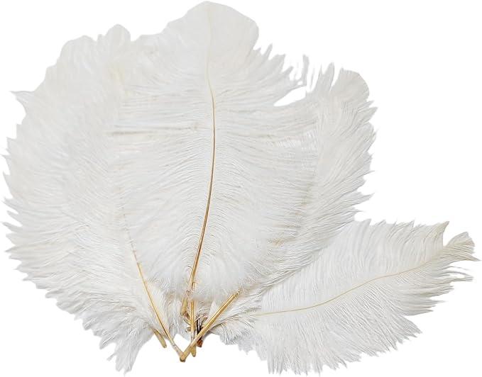 50PCS White Fullness Natural Ostrich Feathers DIY Craft Feather Home Decor for Wedding Sewing Crafts Costumes Decoration(15-20CM) 50PCS White Fullness Natural Ostrich Feathers DIY Craft Feather Home Decor for Wedding Sewing Crafts Costumes Decoration(15-20CM)