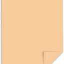 Exact Vellum Bristol, 8.5" x 11", 67 lb/147 GSM, Tan, 250 Sheets (82381)